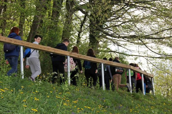 Sprehod po učni poti Samostanski grič v spremstvu gozdarja