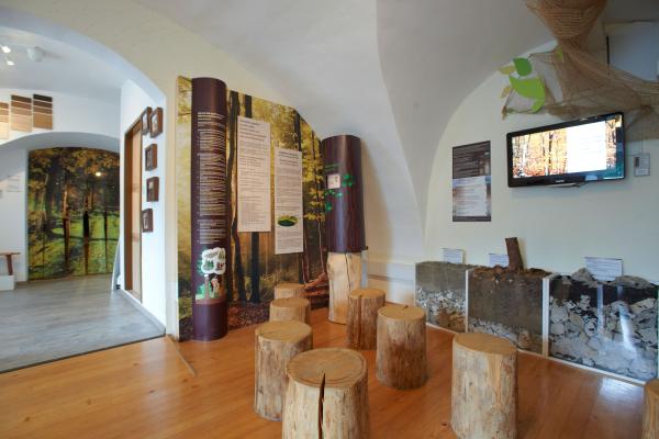 Muzej gozdarstva in lesarstva