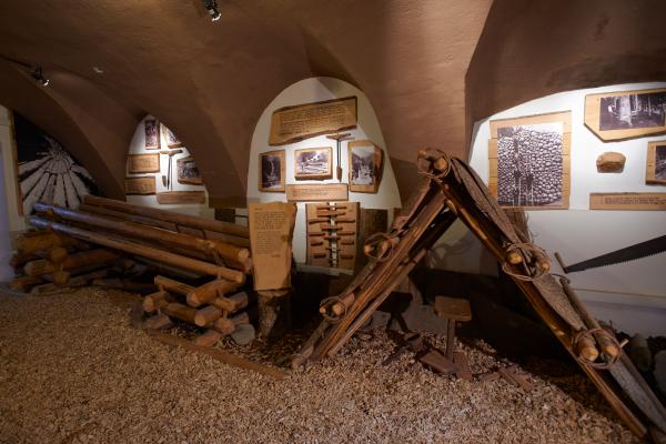 Muzej gozdarstva in lesarstva